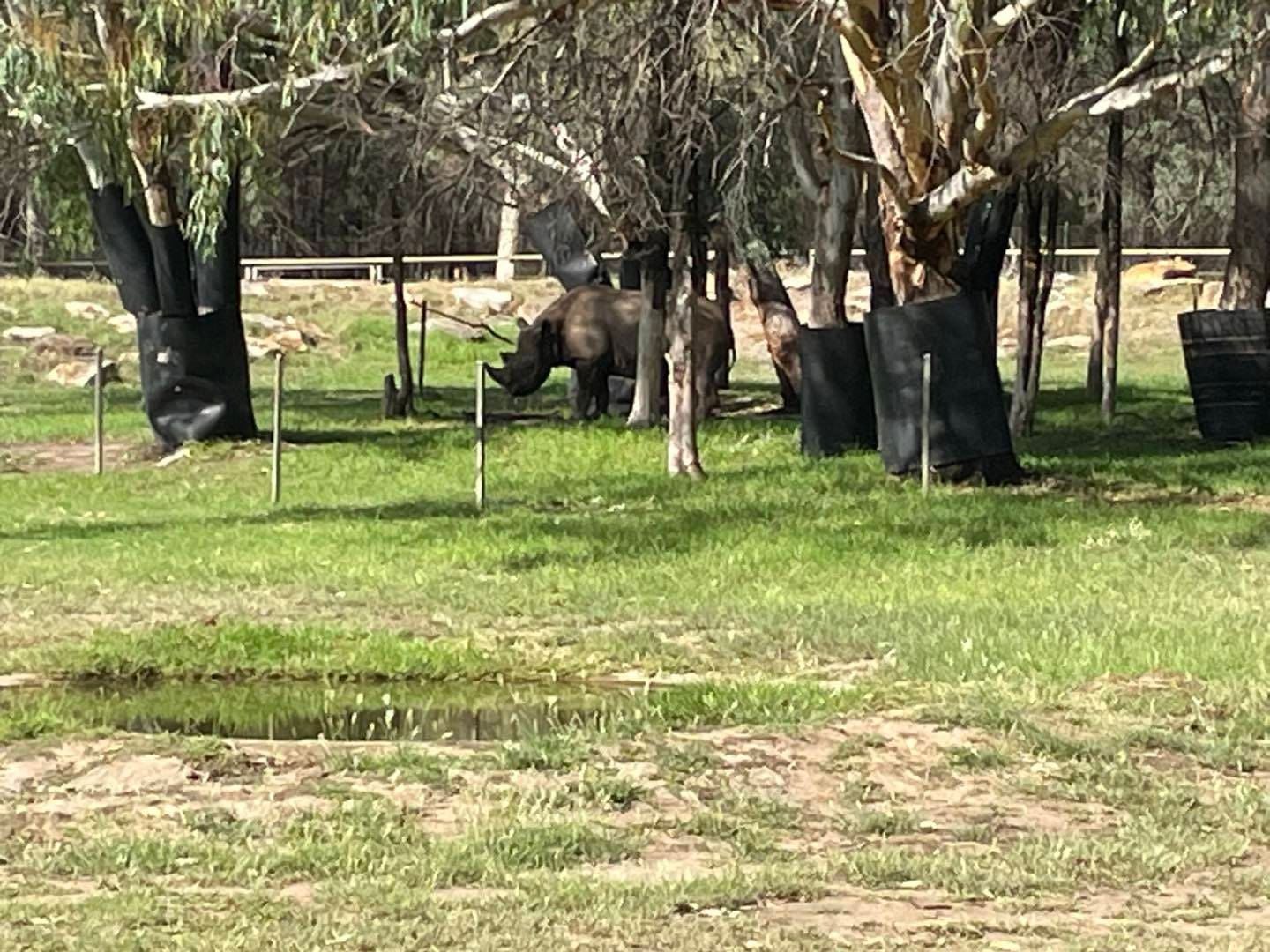 Dubbo Zoo 2025 Image -67de04d0a6afc